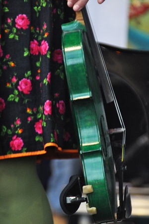Die grüne Geige von Monika Drasch 2014