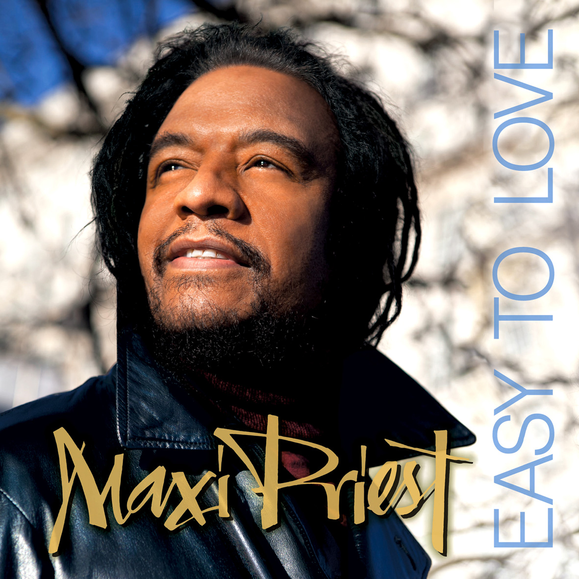  MAXI PRIEST: Easy To Love 